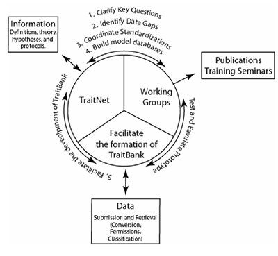 Traitnet Schema